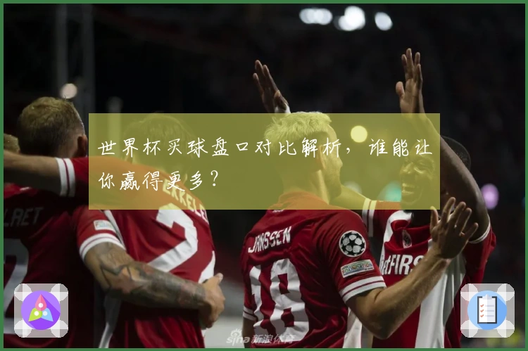 世界杯买球盘口对比解析，谁能让你赢得更多？