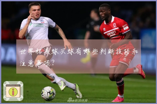 世界杯滚球买球有哪些判断技巧和注意事项？