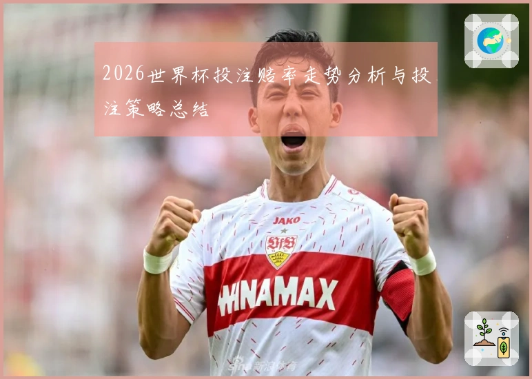 2026世界杯投注赔率走势分析与投注策略总结