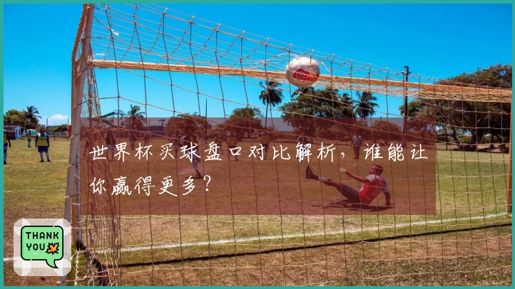 世界杯买球盘口对比解析，谁能让你赢得更多？