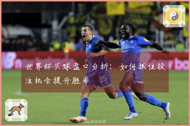 世界杯买球盘口分析：如何抓住投注机会提升胜率