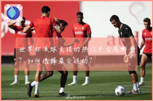 世界杯滚球竞猜的热门平台有哪些？如何选择最合适的？