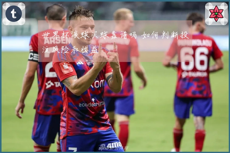 世界杯滚球买球靠谱吗 如何判断投注风险和收益