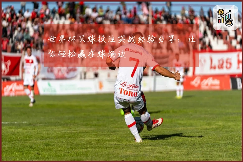 世界杯买球投注实战经验分享，让你轻松赢在球场边