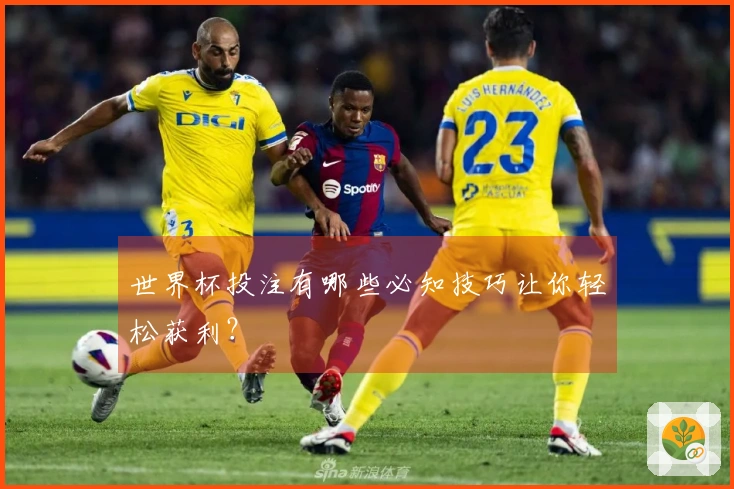 世界杯投注有哪些必知技巧让你轻松获利？