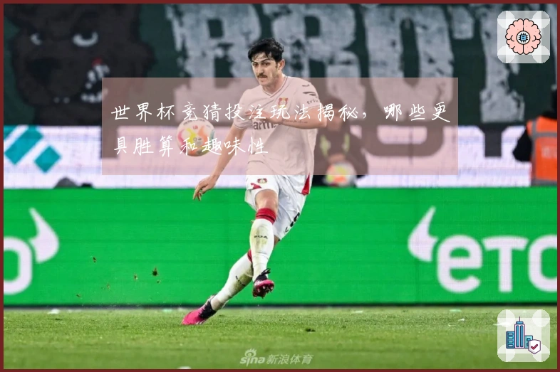世界杯竞猜投注玩法揭秘，哪些更具胜算和趣味性
