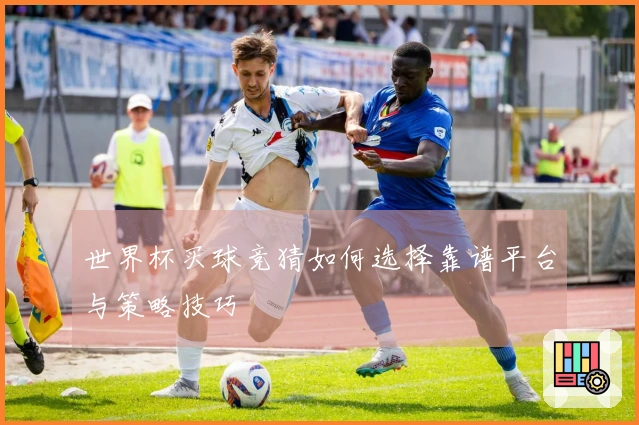 世界杯买球竞猜如何选择靠谱平台与策略技巧