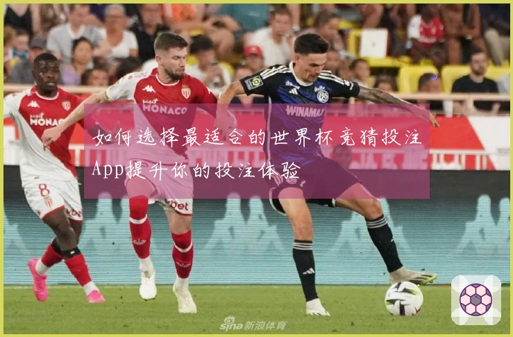 如何选择最适合的世界杯竞猜投注App提升你的投注体验