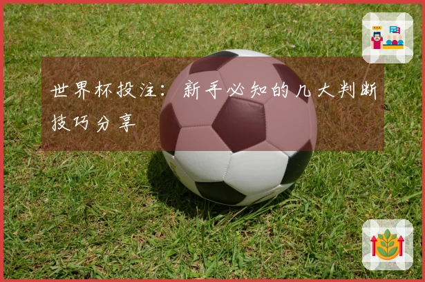 世界杯投注：新手必知的几大判断技巧分享