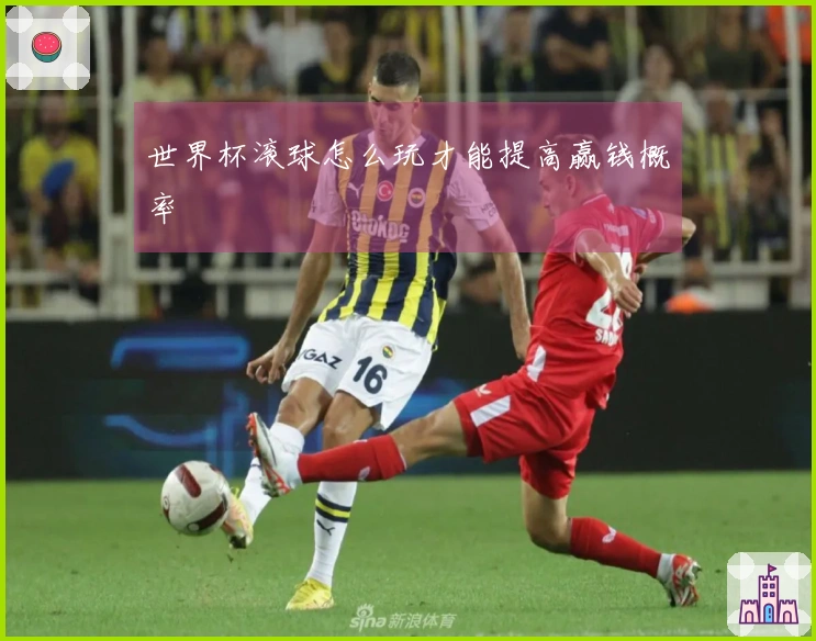 世界杯滚球怎么玩才能提高赢钱概率