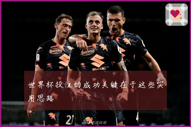 世界杯投注的成功关键在于这些实用思路