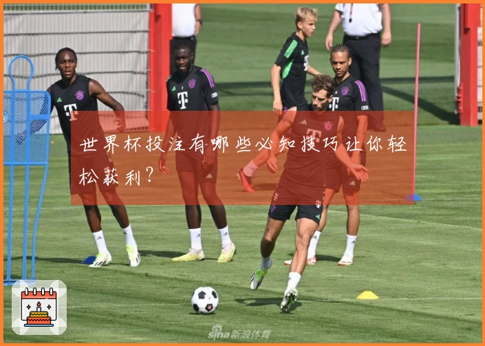 世界杯投注有哪些必知技巧让你轻松获利？