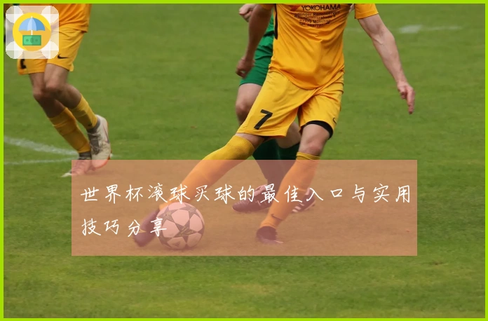 世界杯滚球买球的最佳入口与实用技巧分享