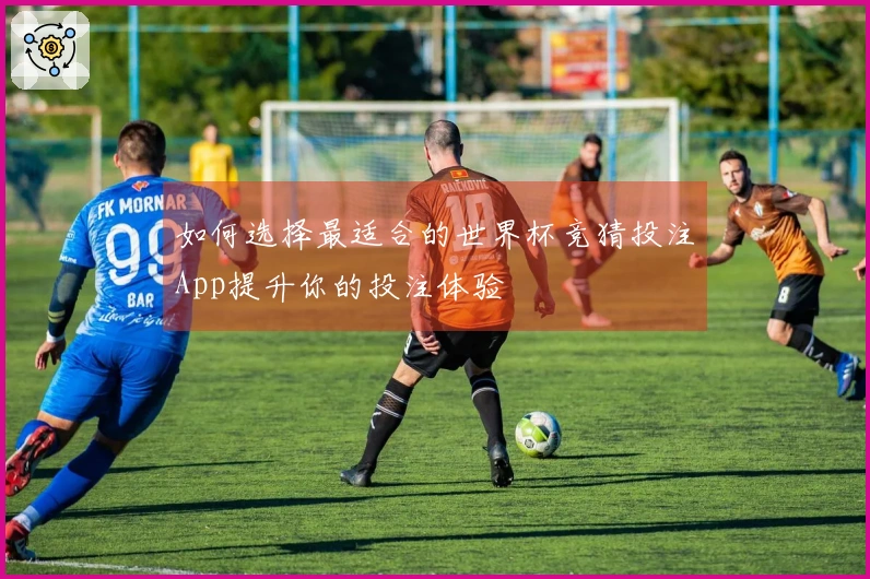 如何选择最适合的世界杯竞猜投注App提升你的投注体验