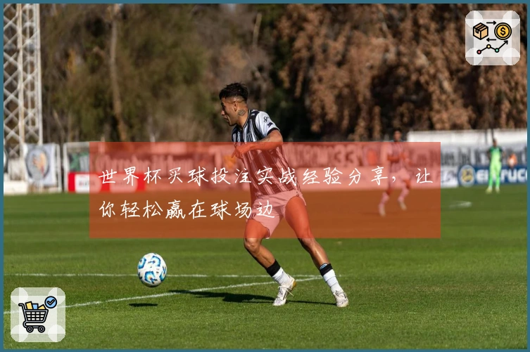世界杯买球投注实战经验分享，让你轻松赢在球场边