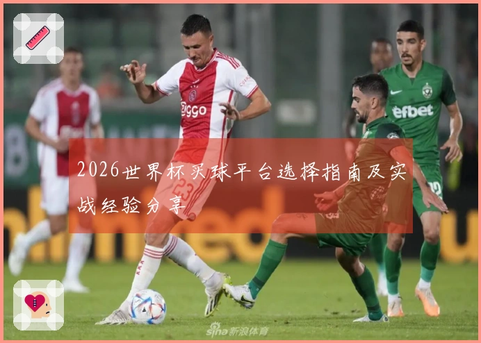 2026世界杯买球平台选择指南及实战经验分享