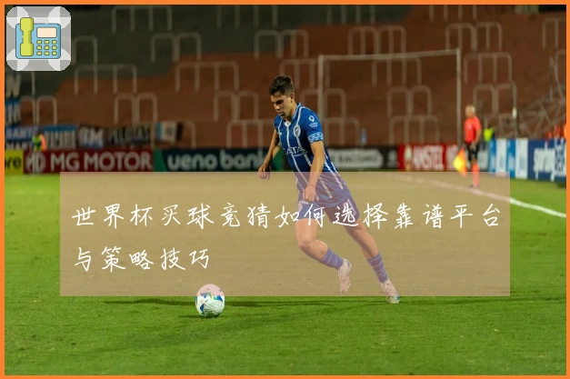 世界杯买球竞猜如何选择靠谱平台与策略技巧